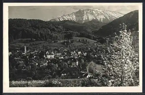 AK Scheibbs, Ortsansicht mit Kirche gegen den Ötscher