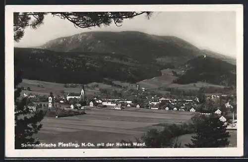 AK Piesting, Panorama mit der hohen Wand