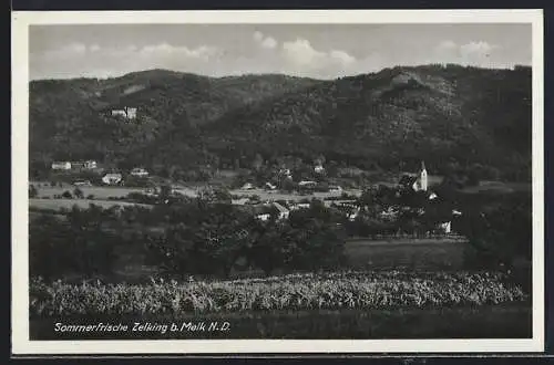 AK Zelking b. Melk, Ortsansicht mit Kirche