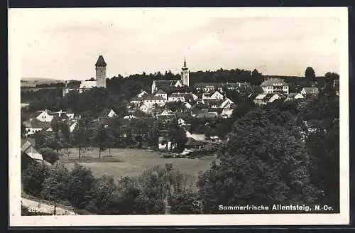 AK Allentsteig / Niederdonau, Gesamtansicht