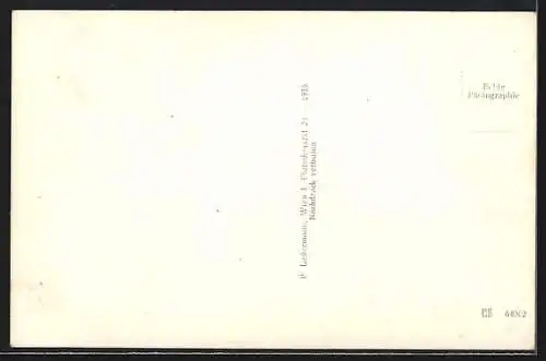 AK Allentsteig / Niederdonau, Gesamtansicht