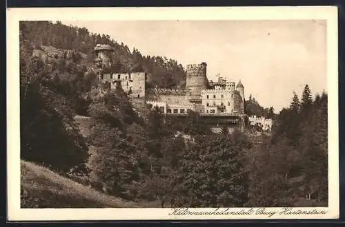 AK Hartenstein, Kaltwasserheilanstalt Burg Hartenstein