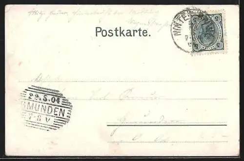 AK Hinterbrühl, Teilansicht mit Bäumen