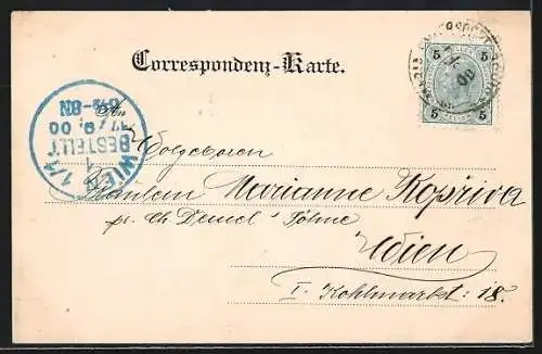 AK Maria-Enzersdorf am Gebirge, Ortspartie mit Kirche