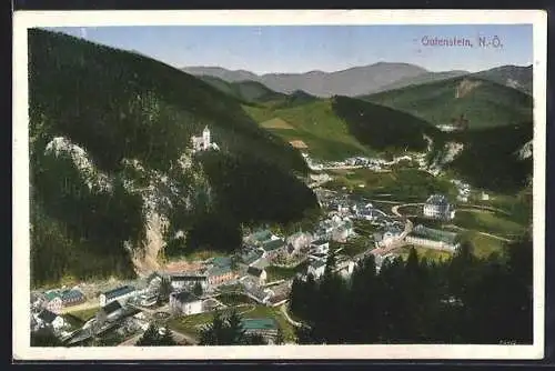 AK Gutenstein /N.-Ö., Teilansicht mit Strassenpartie