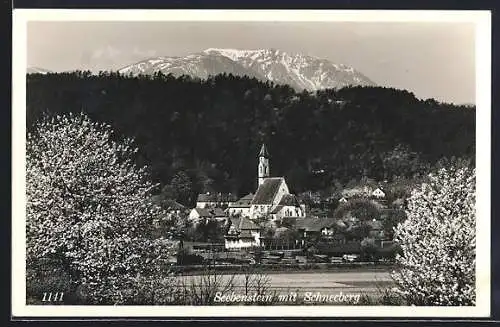 AK Seebenstein, Ortspartie mit Kirche und Blick zum Schneeberg