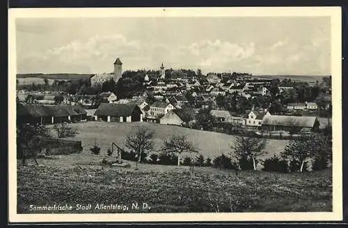 AK Allentsteig /N. D., Partie am Ortsrand