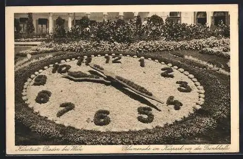 AK Baden bei Wien, Blumenuhr im Kurpark vor der Trinkhalle