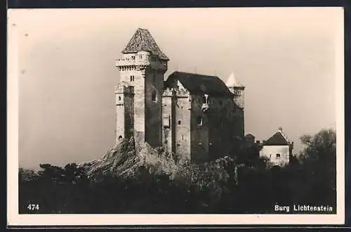 AK Maria Enzersdorf, Die Burg Lichtenstein