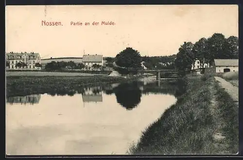 AK Nossen, Partie an der Mulde, Panorama mit Brücke
