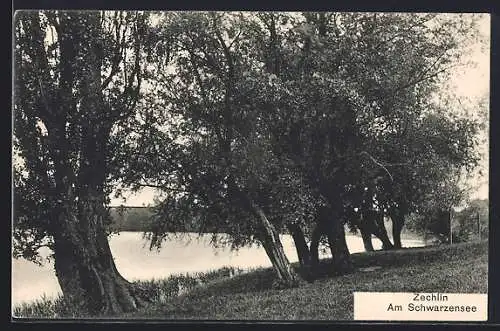 AK Zechlin, Partie am Schwarzensee