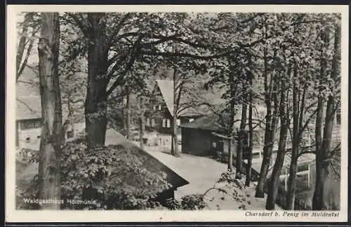 AK Chursdorf bei Penig, Waldgasthaus Höllmühle P. Henschel aus der Vogelschau