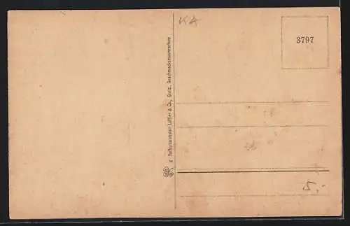 AK Plauen i. V., Stadtpark mit Gewässer aus der Vogelschau