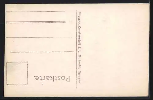 AK Speyer a. Rhein, Totalansicht