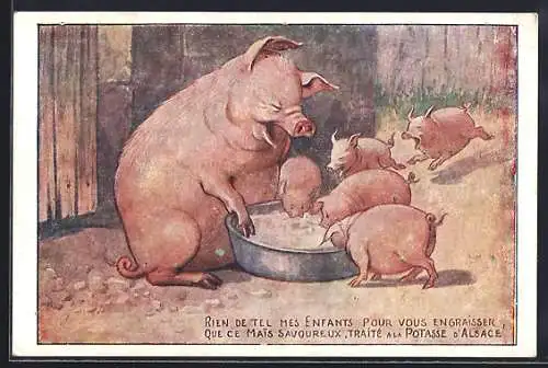 AK Elsass, Reklame für Dünger, Potasse, Schwein und Ferkel fressen