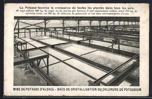 AK Salzbergwerk, La Potasse favorise la croissance de toutes les plantes dans tous les sols, Mine de Potasse d`Alscae