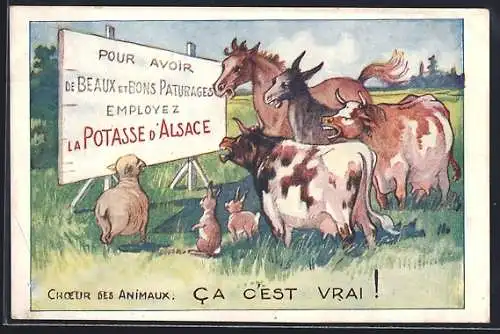 AK pour avoir de beaux et bons paturages employe, la potasse d'alsace, choeur des animaux