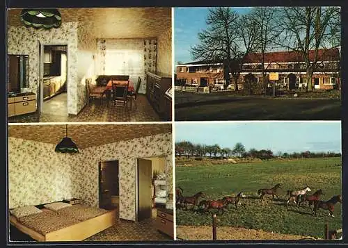 AK Haren /Ems, Reiterhof und Pension Lüssing, Raken 7, Innenansichten