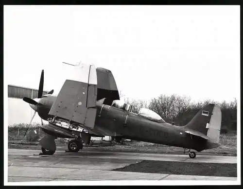 Fotografie Flugzeug Hawker Sea Fury T205 D-COCO, Deutsche Luftfahrt Beratungsdienst - DLB, Schiessplatzstaffel in Lübeck