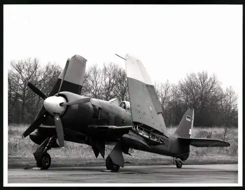 Fotografie Flugzeug Hawker Sea Fury T205 D-COCO, Deutsche Luftfahrt Beratungsdienst - DLB, Schiessplatzstaffel in Lübeck