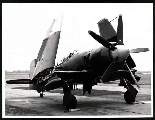 Fotografie Flugzeug Hawker Sea Fury T205 D-COCO, Deutsche Luftfahrt Beratungsdienst - DLB, Schiessplatzstaffel in Lübeck