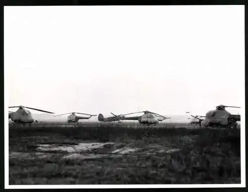 Fotografie Ansicht Oranienburg, Flugzeug Antonow An-2 & Hubschrauber MIL Mi-2 der Sowjet Streitkräfte in Bereitschaft