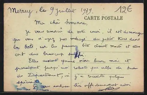 AK Merrey /Haute-Marne, Rue principale et bâtiments anciens