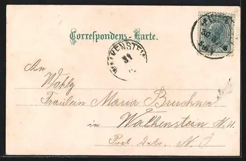 Lithographie Wien, Universität, Ansicht mit Wappen