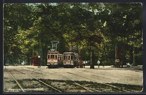 AK Haarlem, Haarlmmerhout, Strassenbahn