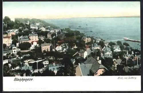 AK Hamburg-Blankenese, Blick vom Süllberg auf den Strand