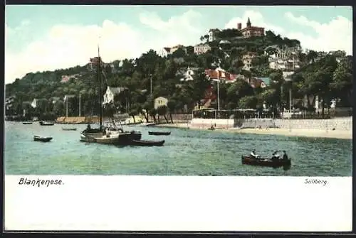 AK Hamburg-Blankenese, Gesamtansicht mit Süllberg