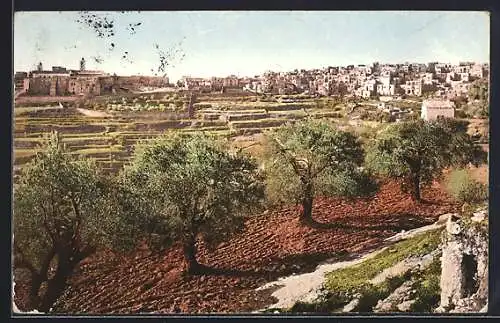 AK Bethlehem, General View