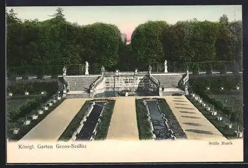 AK Gross-Sedlitz, Königlicher Garten, Stille Musik