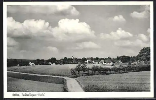 AK Hilter / Teutoburger Wald, Panorama mit Getreidefeldern