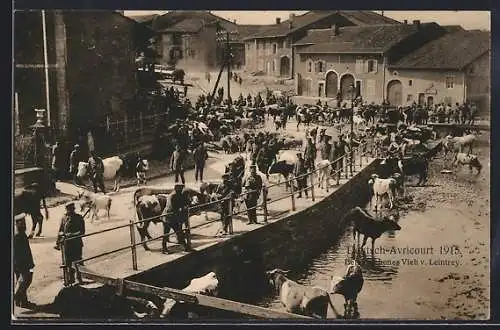 AK Deutsch-Avricourt, Soldaten treiben Vieh durch eine Strasse