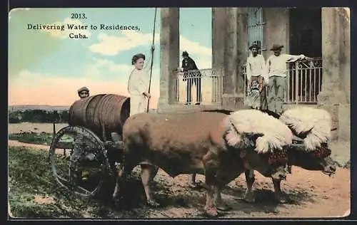 AK Cuba, Delivering Water to Residences, Büffel ziehen Karren