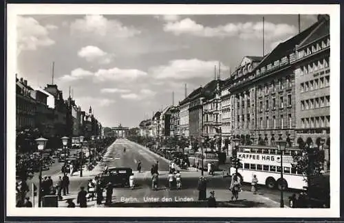 AK Berlin, Unter den Linden, Strassenpartie, Auto