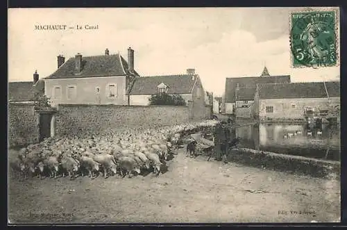 AK Machault, Le Canal, Schäfer mit Herde am Kanal