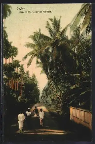 AK Ceylon, Road in the Cinnamon Gardens