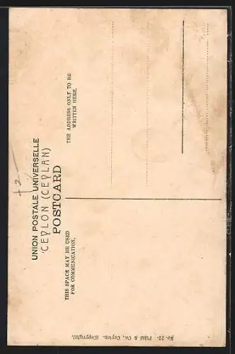 AK Ceylon, Road in the Cinnamon Gardens