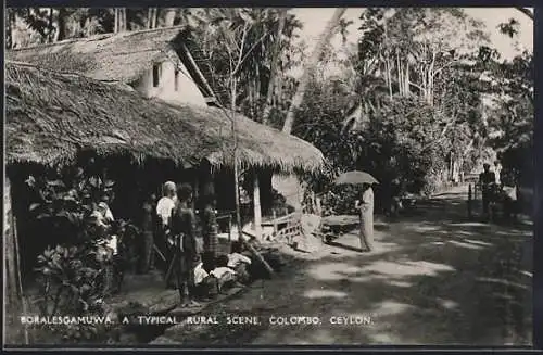 AK Colombo, Bolaresgamuwa, A typical rural Scene