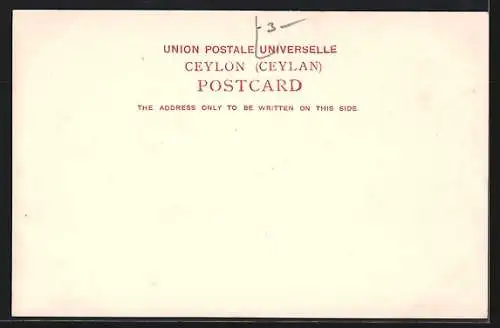 AK Kandy, General View