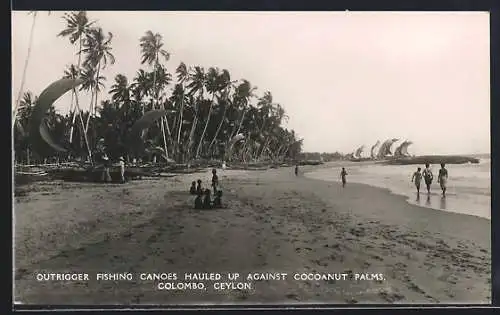 AK Colombo, Outrigger Fishing Canoes Hauled up Against Cocoanut Palms