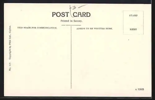 AK Kandy, The Esplanade, showing Temple of the Holy Tooth