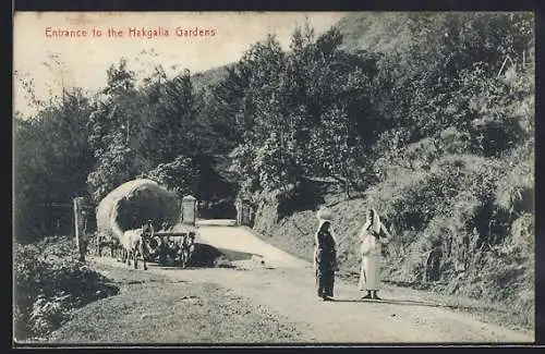 AK Hakgalla, Entrance to the Gardens