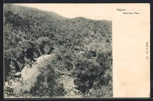 AK Ceylon, Nanu-Oya Pass