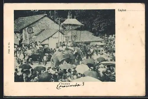 AK Ceylon, Perahara