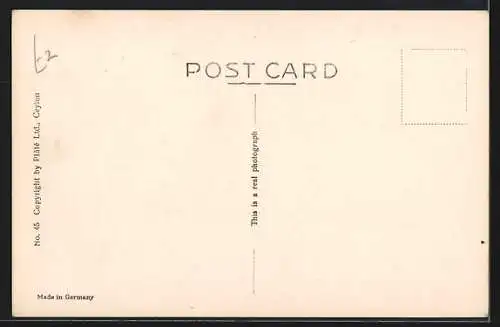 AK Colombo, Mohammedan Mosque, Cinnamon Gardens