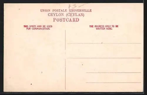 AK Colombo, Museum with Car in the Driveway and Visitors