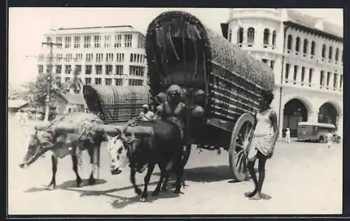 AK Colombo, Double Bullock Cart